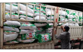 2015年洗衣粉江湖甩賣模式探析 廠家直銷與袋裝買一送三策略